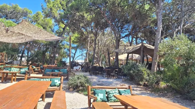 Wooden benches with green cushions and straw parasols in a pine grove on sand