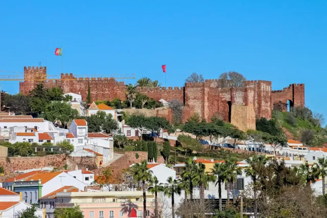 Red sandstone fortress walls above tiled roofs and palm trees