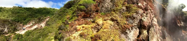 Volcanic ground covered in yellow, brown and green sulphur crust
